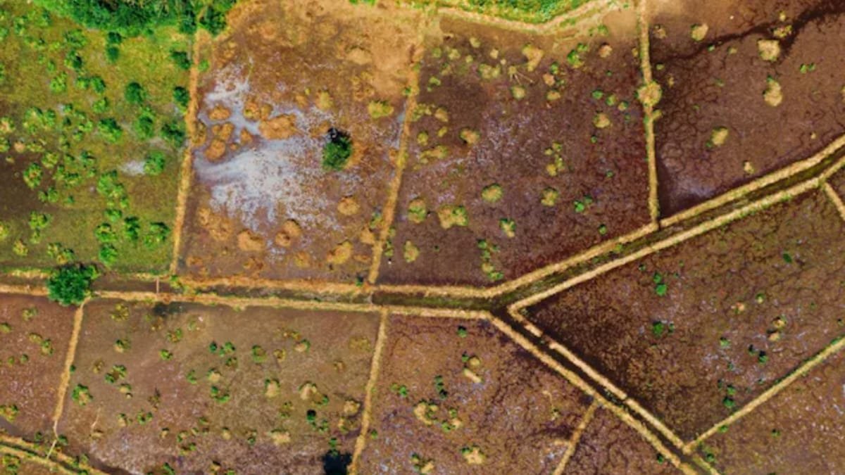 Plot Near Noida Airport For Rs 7.5 Lakh: All You Need To Know About YEIDA Scheme | Business News