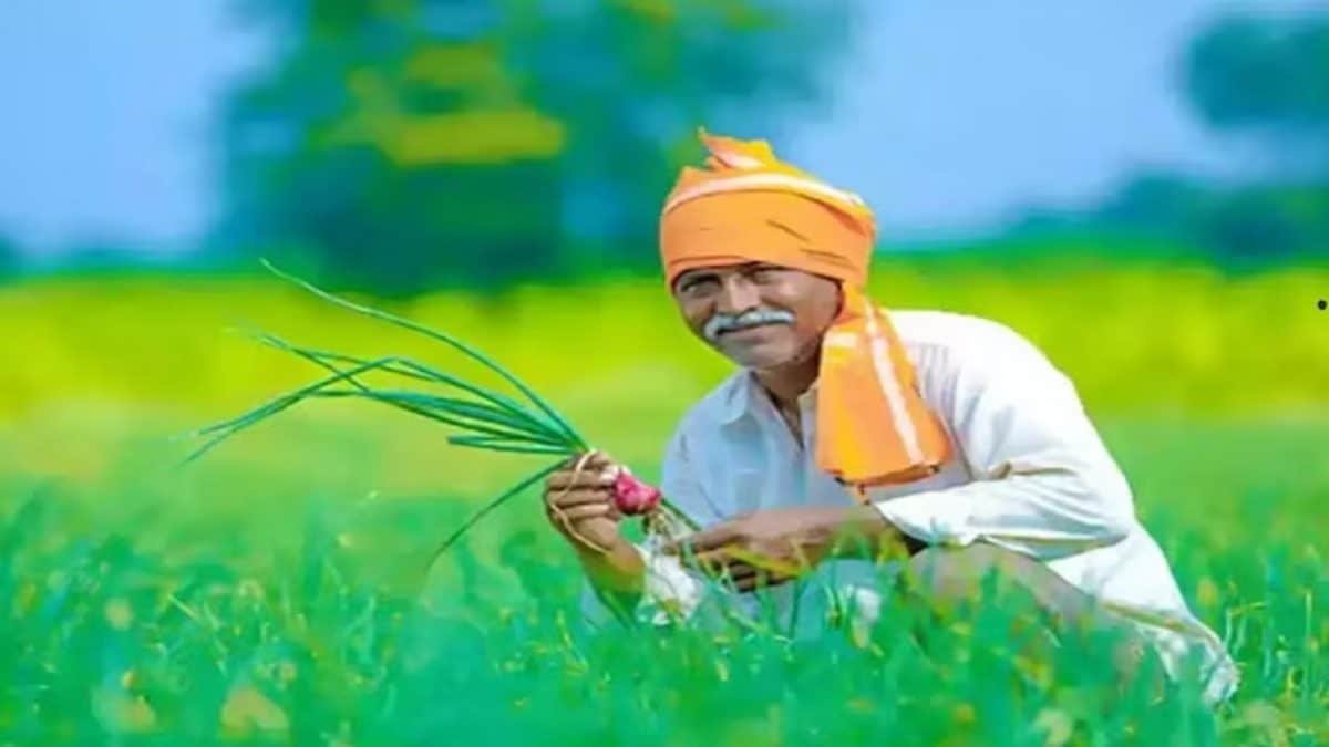 PM Kisan 20th Installment Soon: Check Beneficiary Status, Eligibility, Application Process, E-KYC