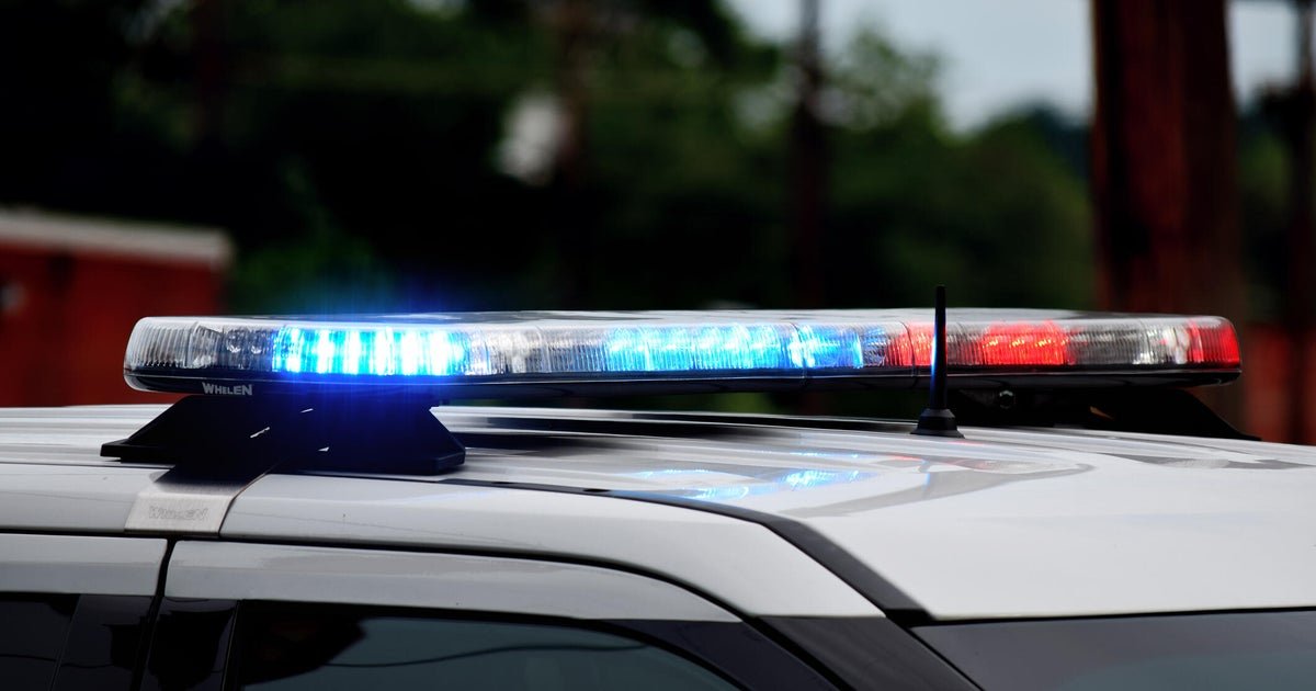Minnesota lawmakers John Hoffman, Melissa Hortman targeted in shootings, sources say