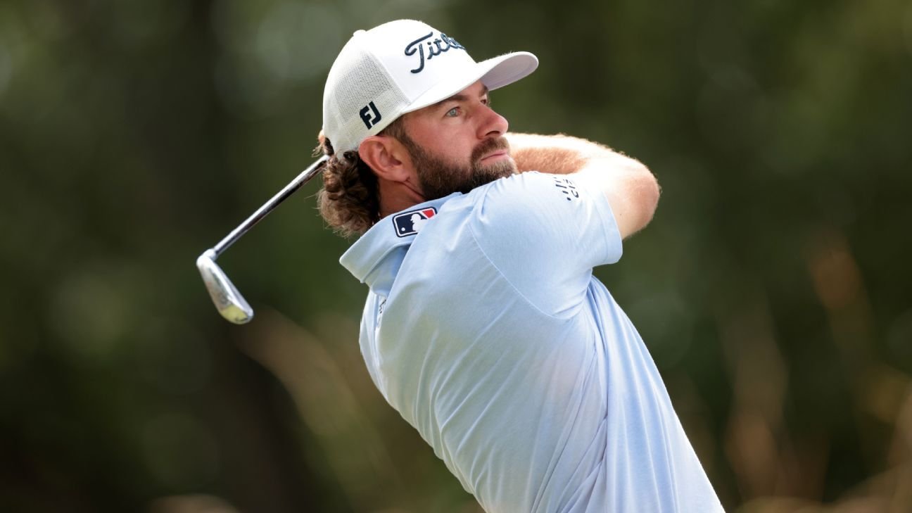 Cameron Young rallies to qualify for U.S. Open in playoff