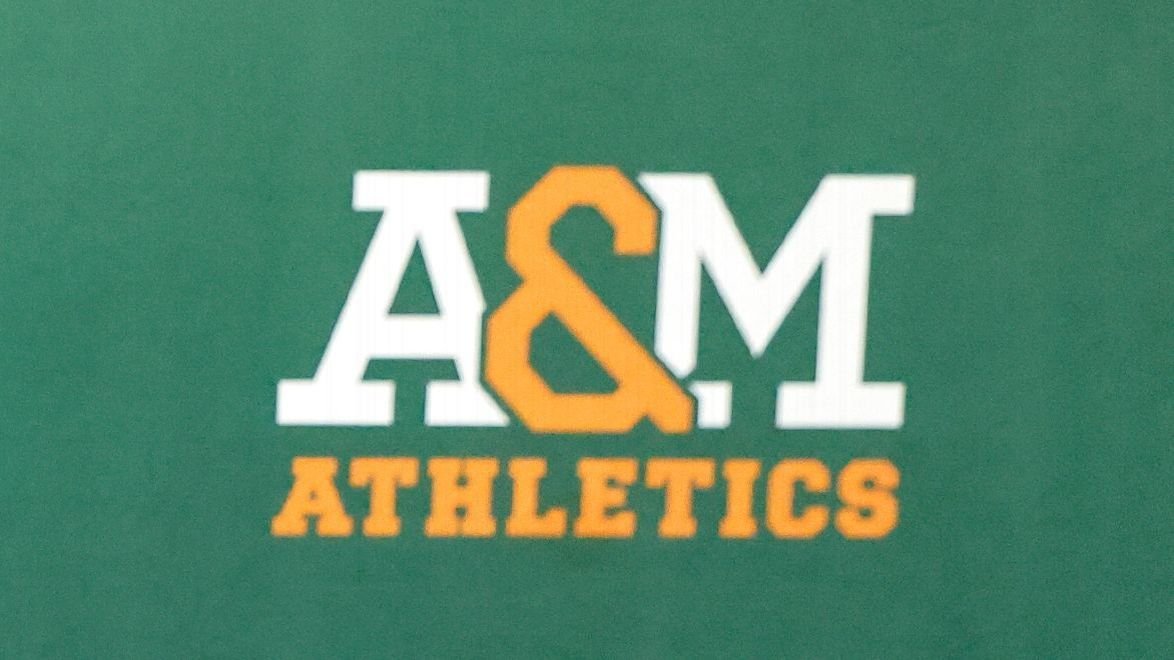 FAMU AD Angela Suggs accused of stealing over $24K at ex-job