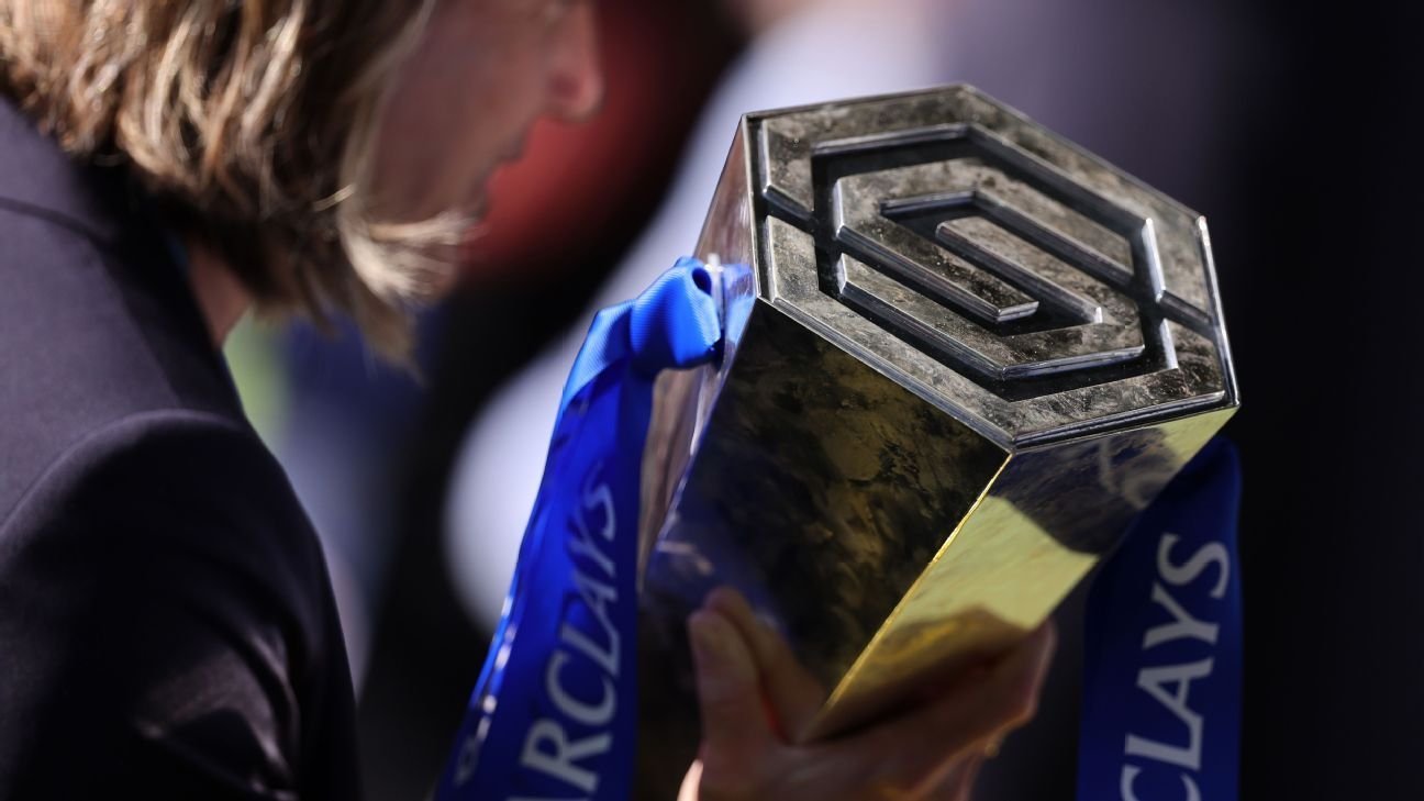 WSL expansion Q&A: 14 teams, relegation playoff, what else?