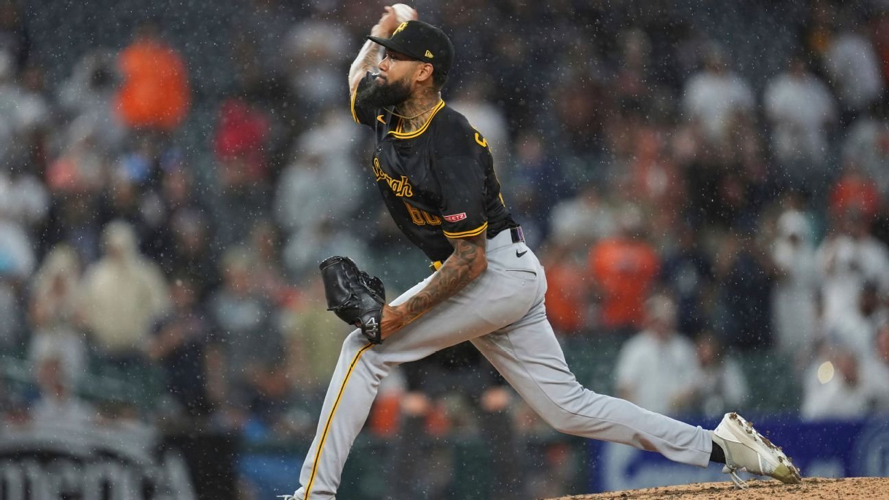 Pirates' Dennis Santana in altercation with fan during Tigers game