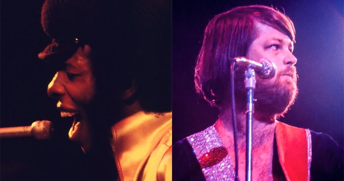 Passage: Remembering Sly Stone and Brian Wilson