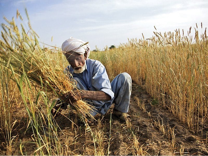 Agri-budget fails to match damage