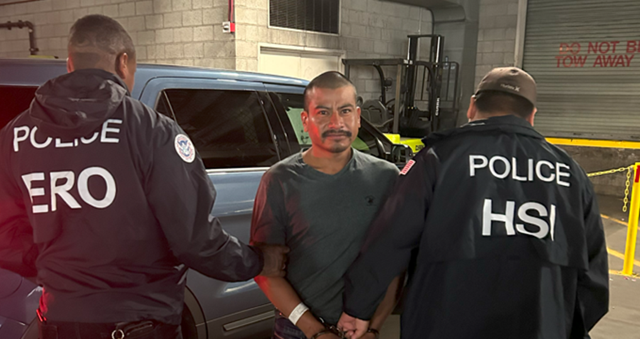 DHS reveals criminal histories of immigrants arrested in LA ICE raids