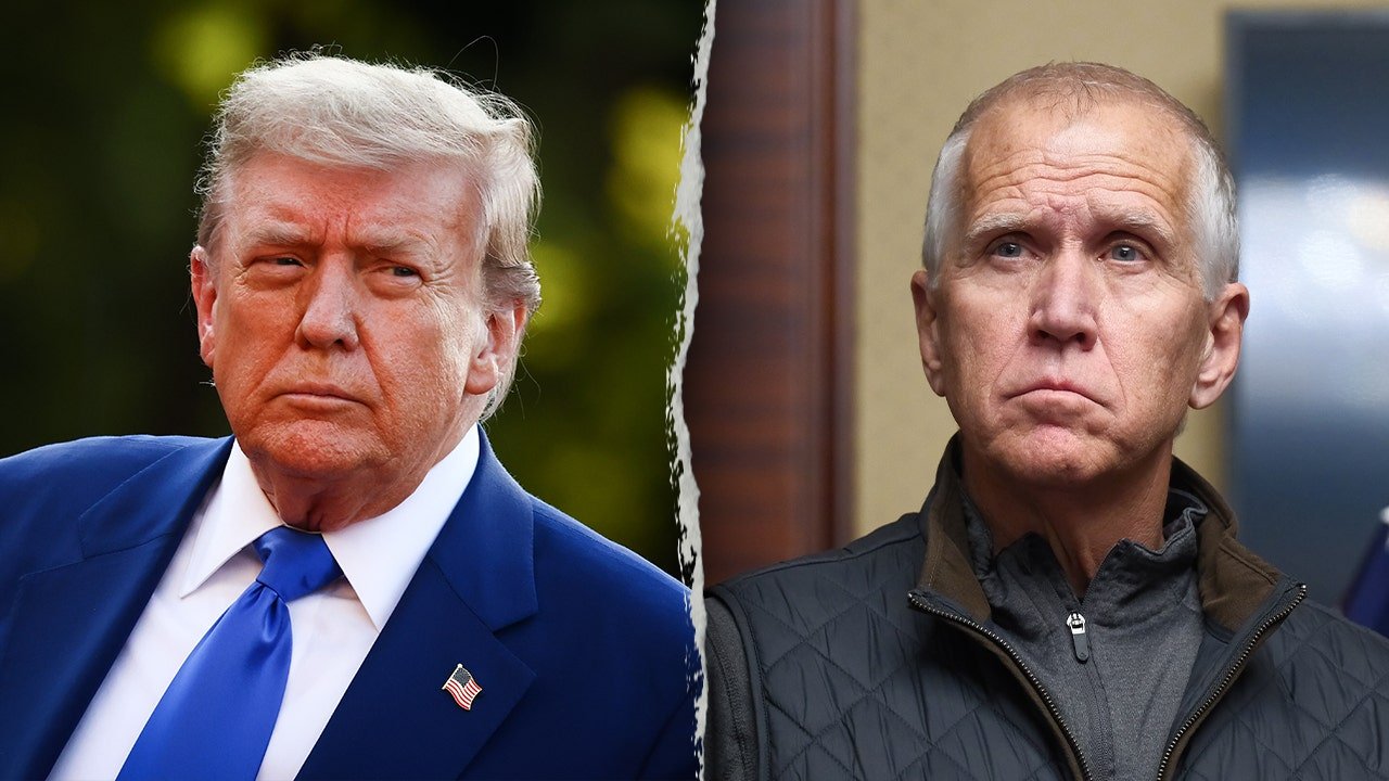 Trump celebrates Tillis' retirement after bill opposition vote
