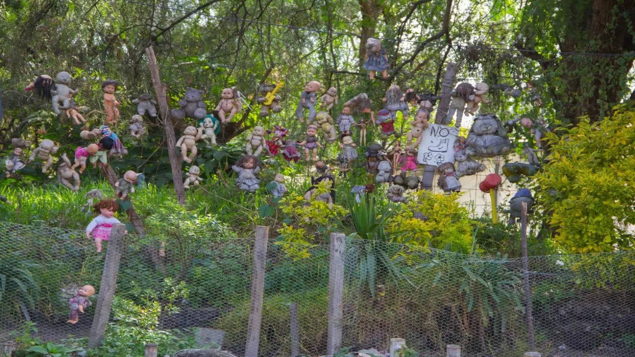 What's the truth behind the decaying dolls that hang from trees