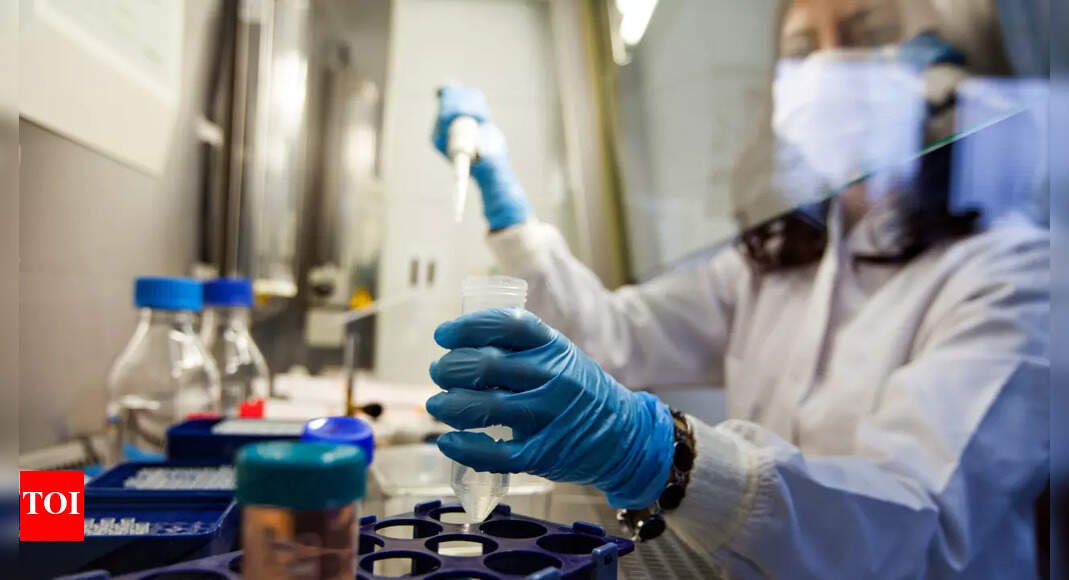 SHOCKING! Scientists discovered microplastics in human reproductive fluids |