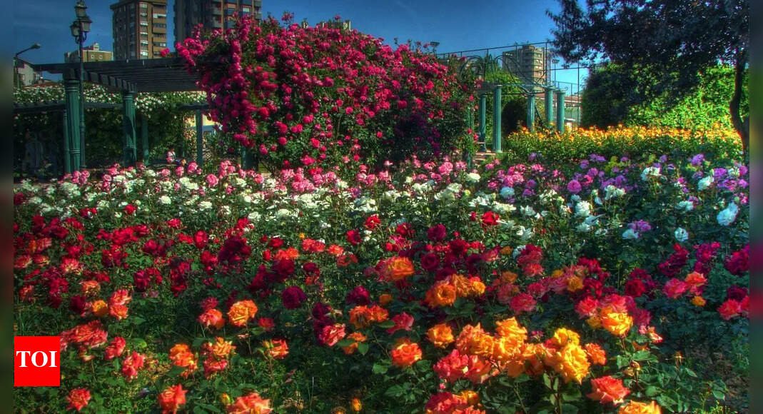 10 rare flowers that bloom once in a lifetime |