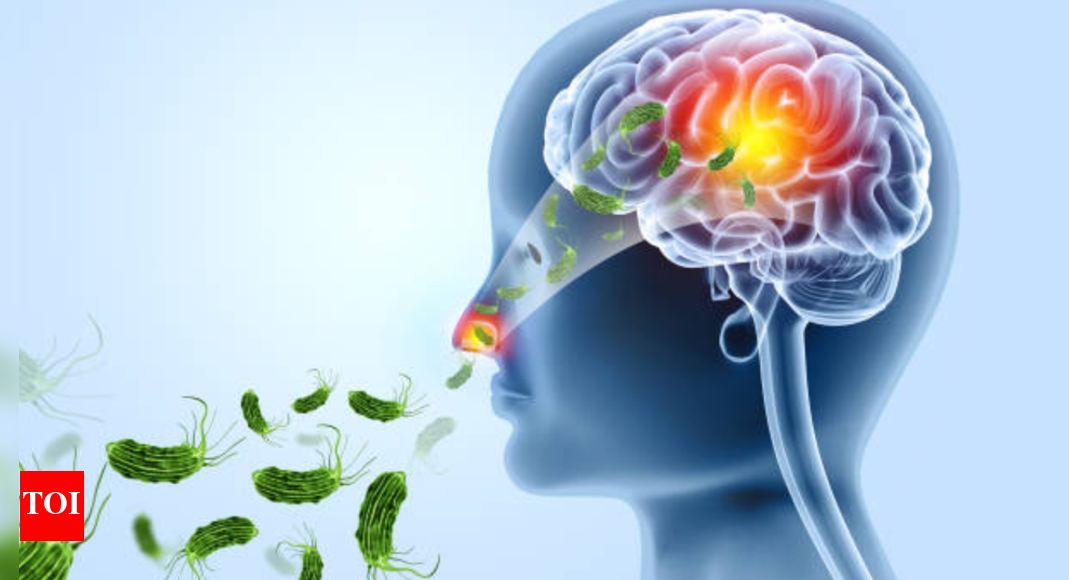 Brain eating amoeba: How warm weather fuels this silent threat |