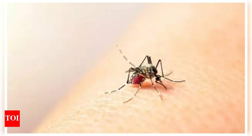 India’s first Dengue vaccine on the horizon: Phase 3 trial enrollment nears completion