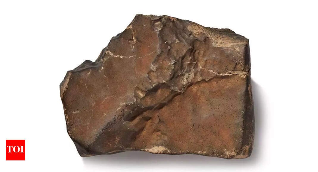 Largest Mars rock could sell for a staggering $4 million |