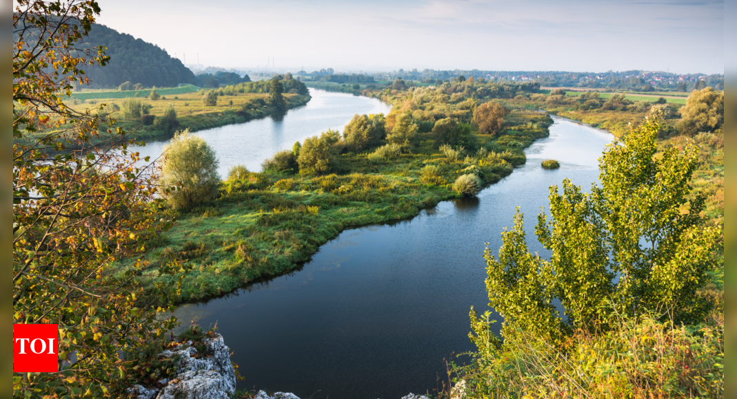 Drought plunges Poland's longest river to record low