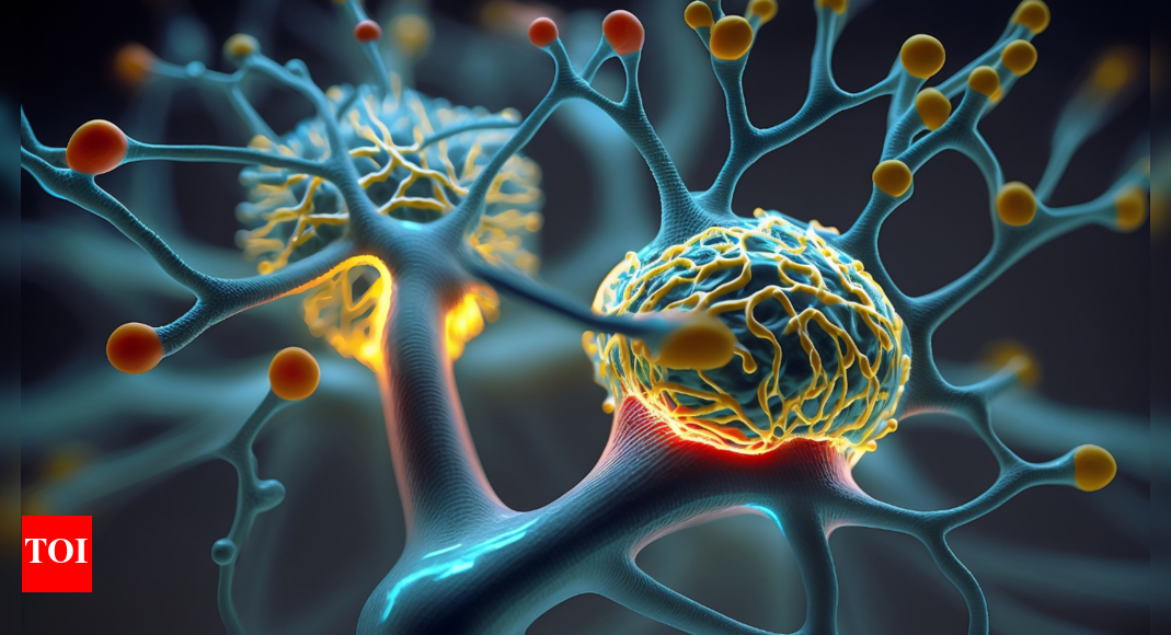 Scientists confirm adult human brain continues to generate new neurons
