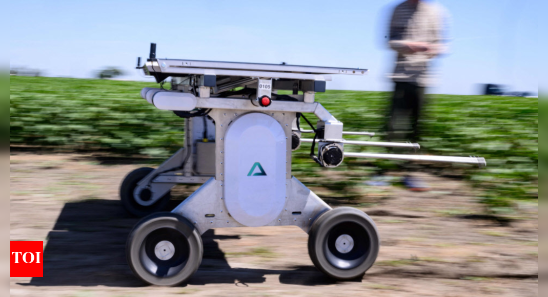 AI robots fill in for weed killers and farm hands
