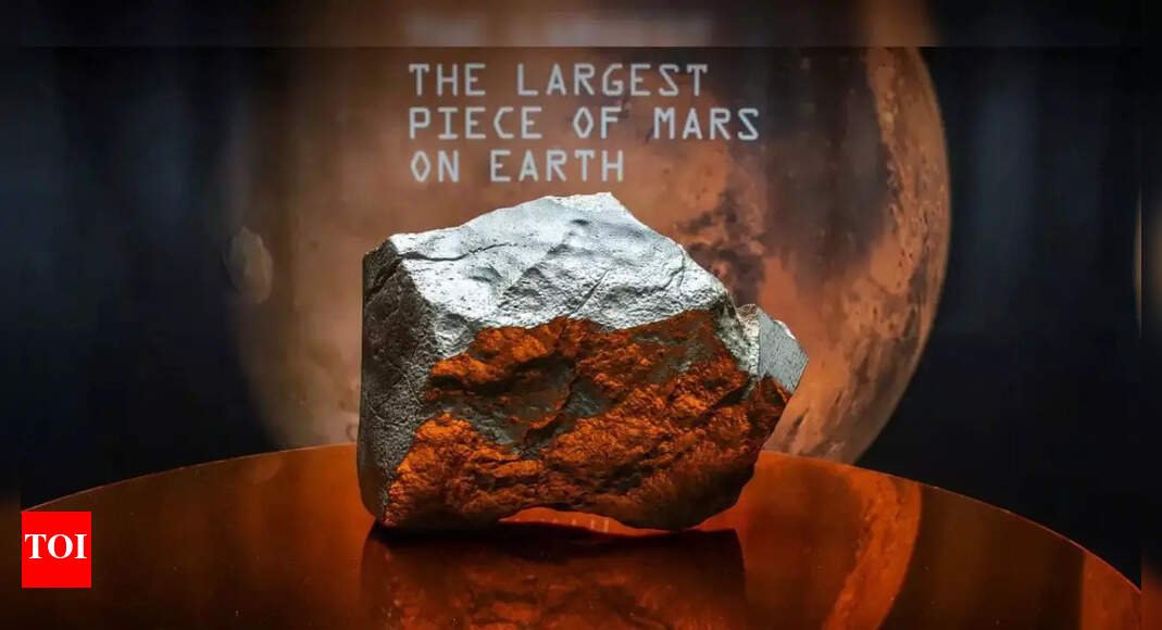 Sotheby’s to auction largest Mars rock ever found on Earth in New York; here’s how it came to our planet |