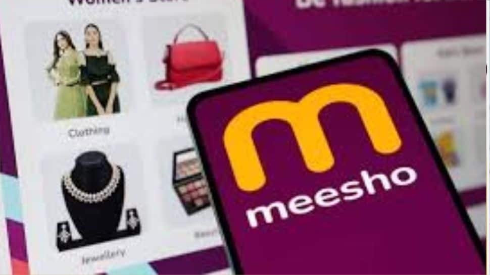 Meesho Joins The IPO Frenzy, Should You Invest? | Economy News
