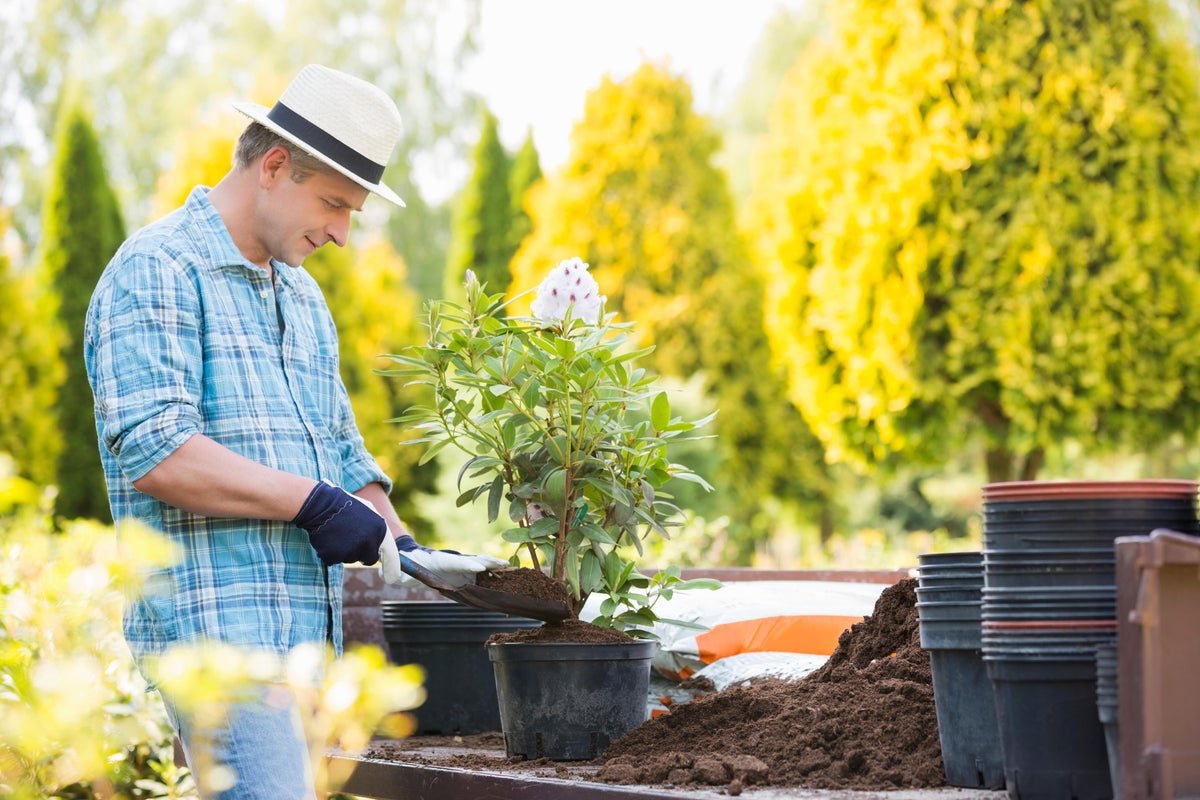 How gardeners can maximise the use of their small spaces