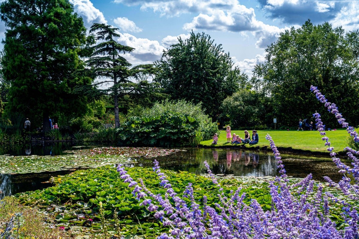 Family-friendly summer gardens to visit