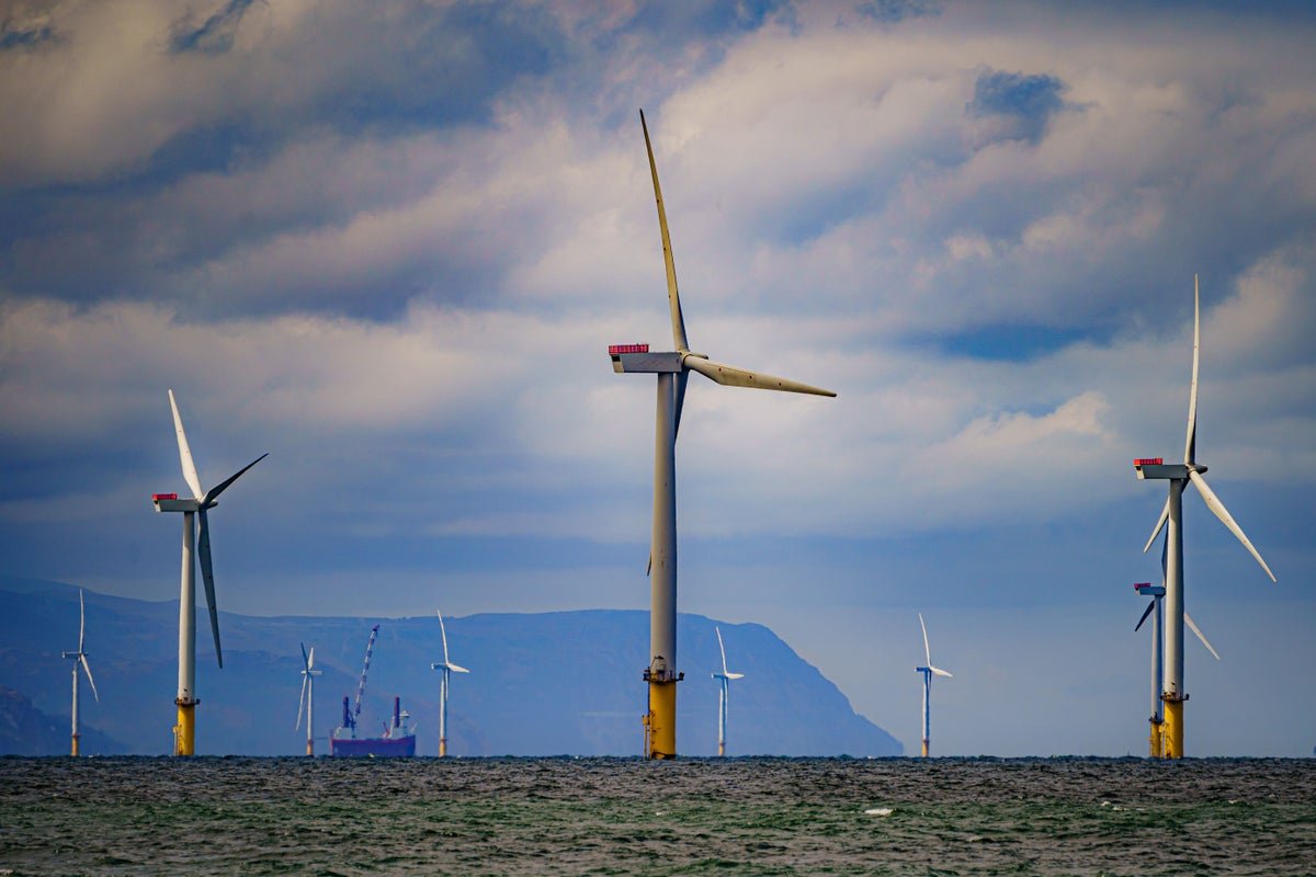 Crown Estate profits remain at record high but windfarm boost set to fall back