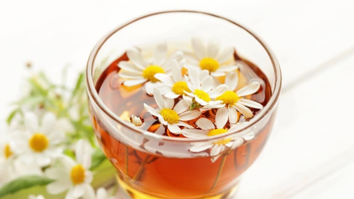 8 Bedtime Drinks That Burn Fat Naturally While You Sleep