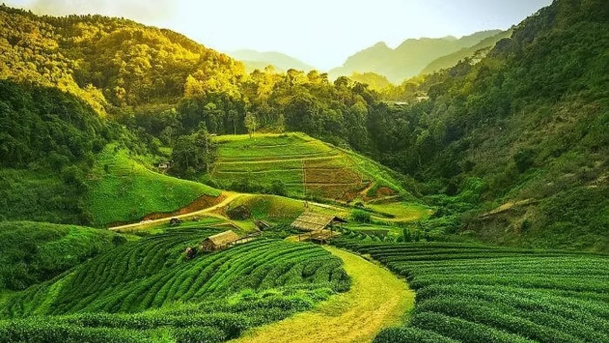 Where To Travel In July: Offbeat Gems You Haven’t Thought Of Yet | Travel News