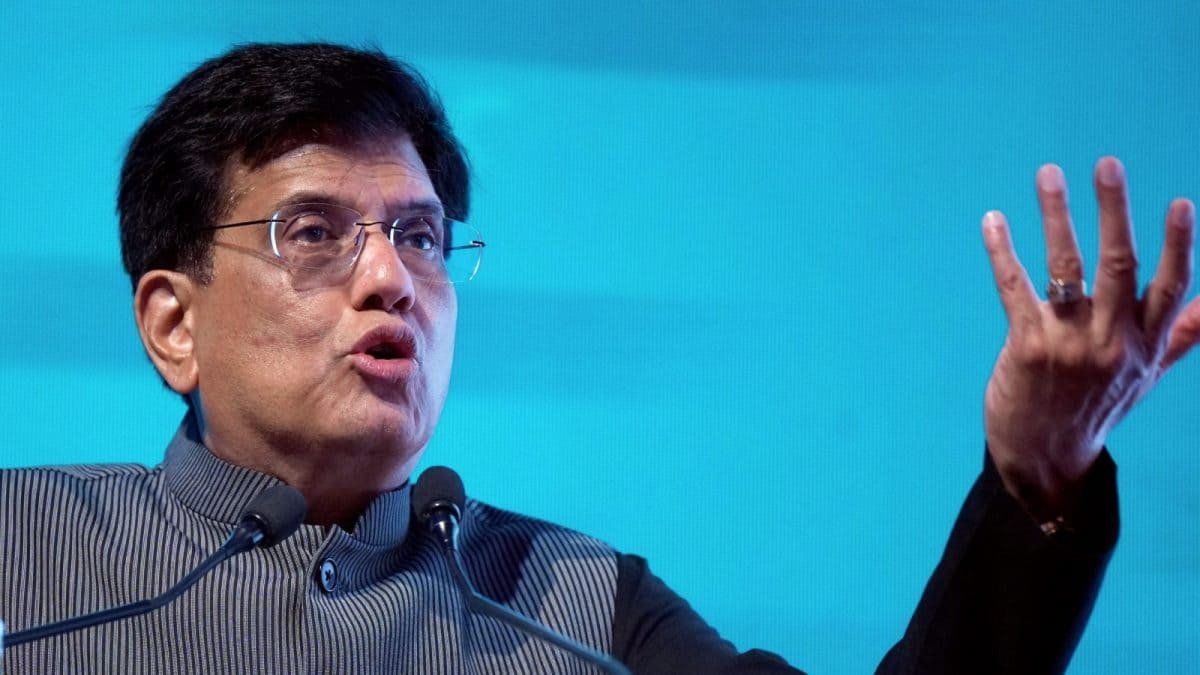 'India Negotiates On Its Own Terms': Piyush Goyal Suggests No Timeline For US Trade Deal | Business News