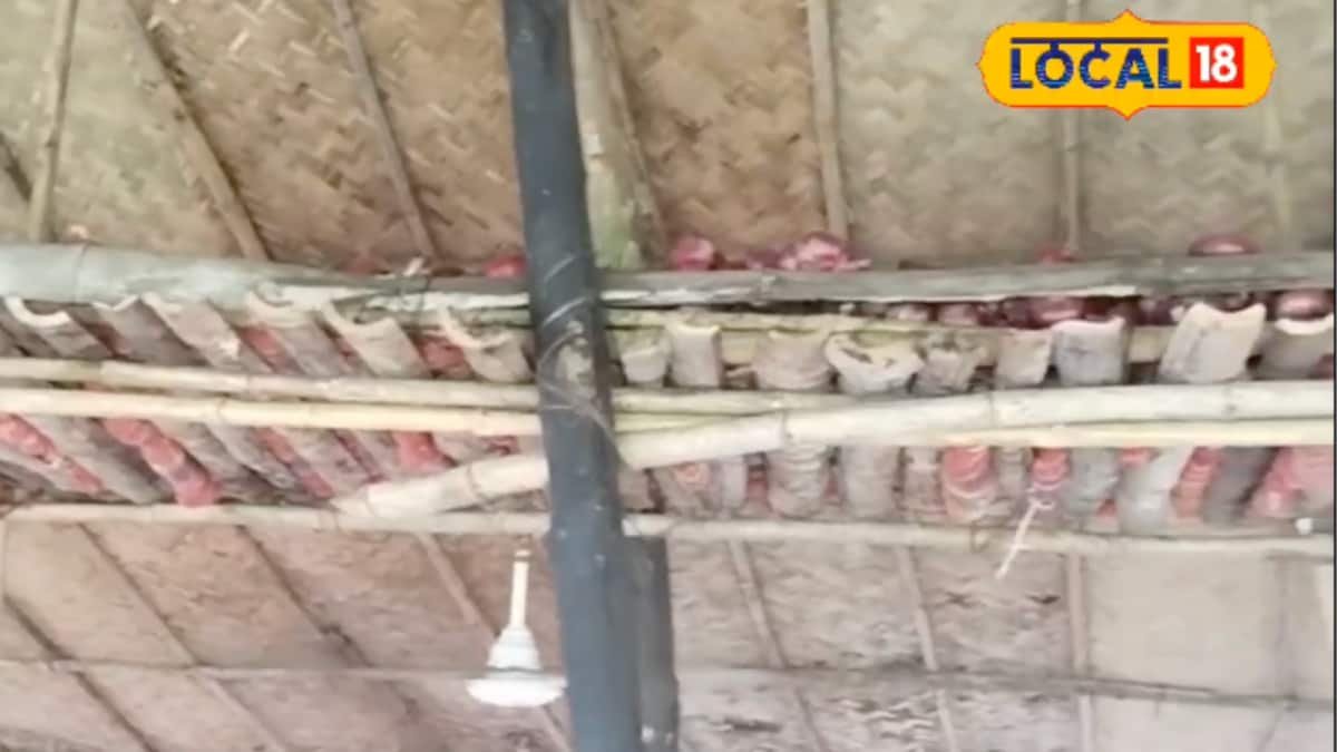 No Cost, No Extra Space! This Desi Jugaad Keeps Potatoes & Onions Safe In Rainy Season | Lifestyle News