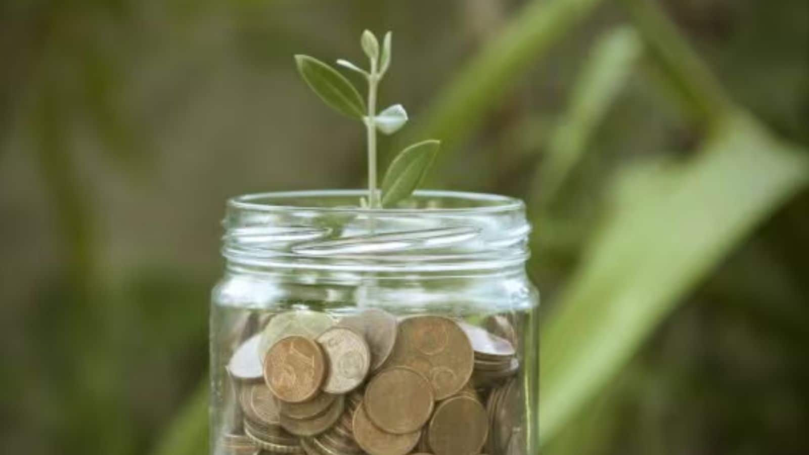 FDs To Mutual Funds, 4 Best Short-Term Investment Options | Business News