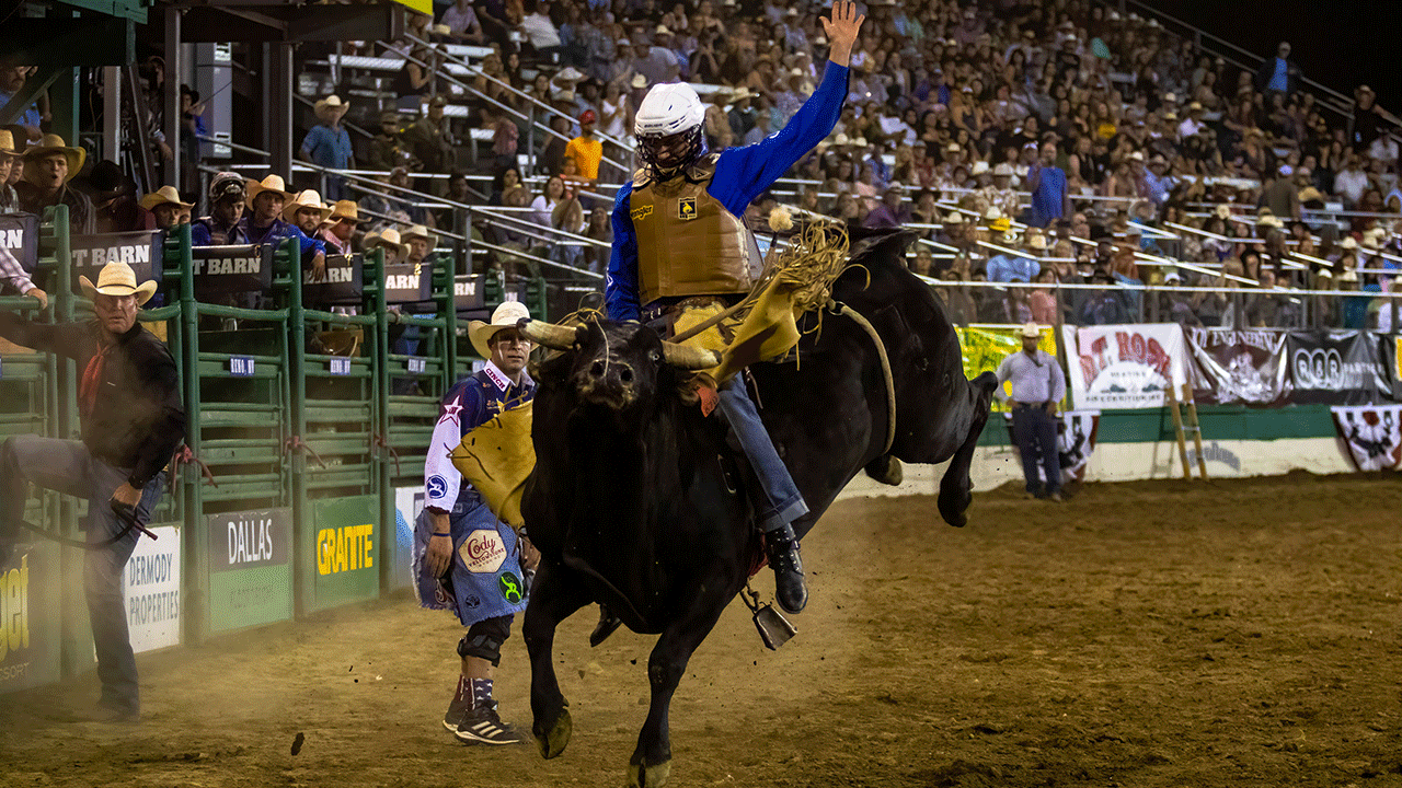 PBR finds new streaming home as Fox Nation goes live with Friday night series