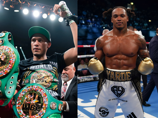 WBC light heavyweight title fight scheduled for November, find out full details