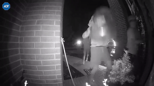 Dangerous social media trends putting kids and homeowners, police warn