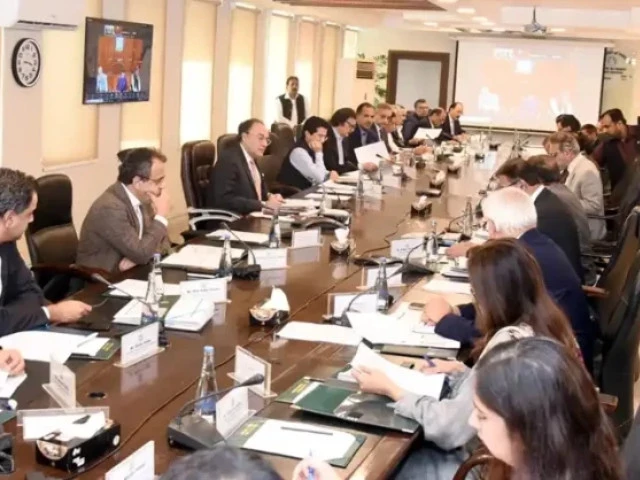 finance minister muhammad aurangzeb chairs the economic coordination committee meeting of the cabinet on friday june 27 2025 photo app