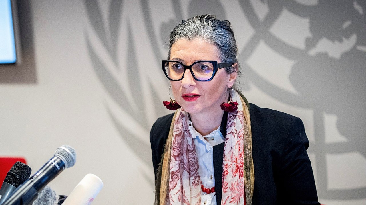 Controversial UN rapporteur faces backlash over anti-Israel report targeting companies