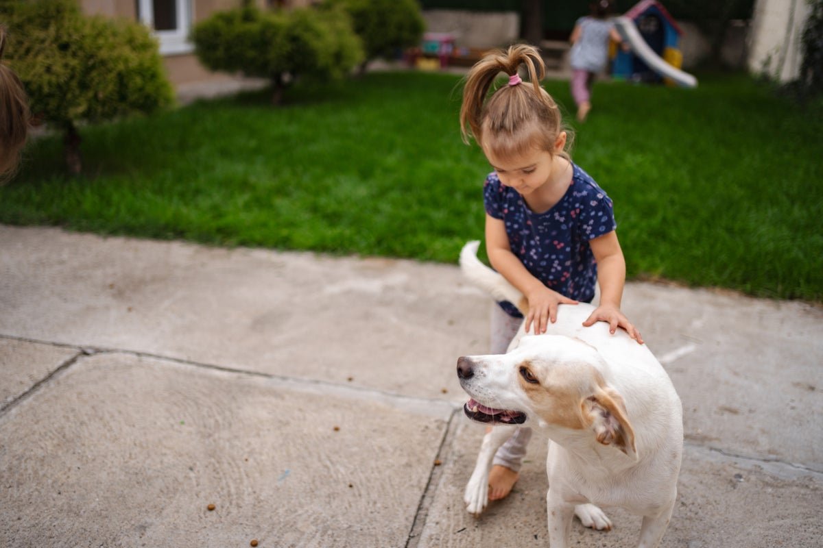 The childhood experience that may lower your risk of asthma and eczema
