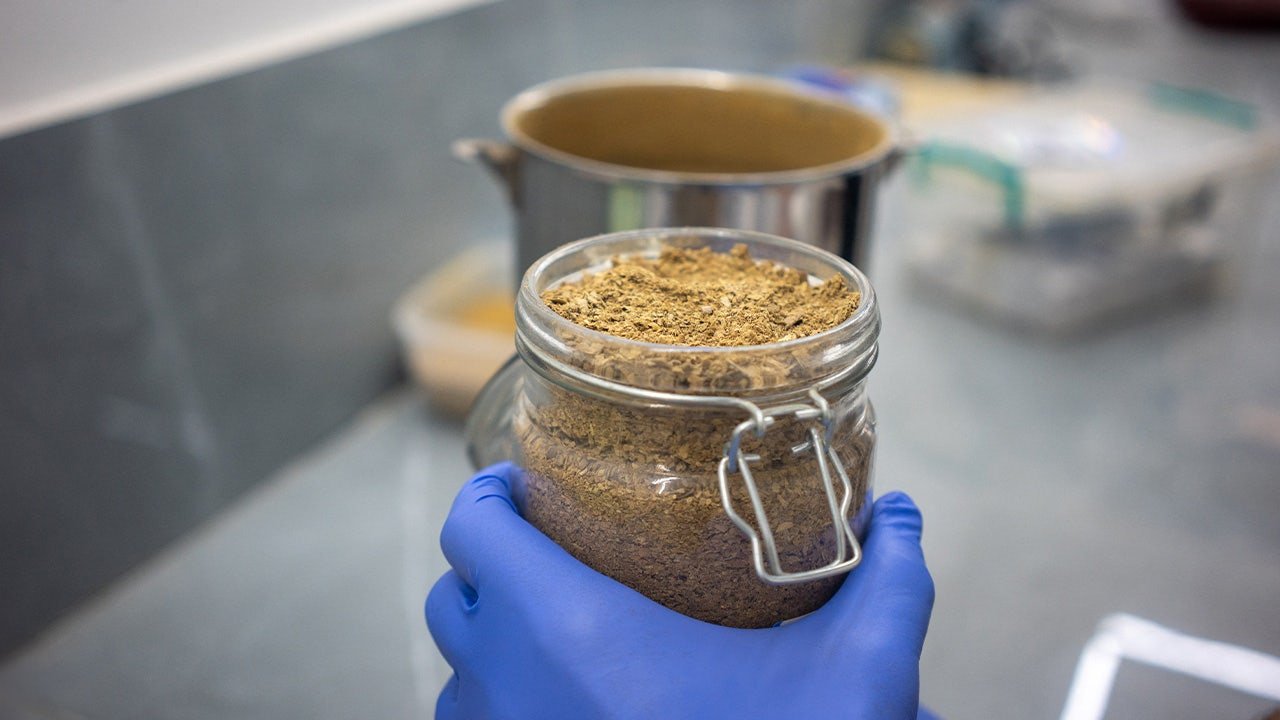 Ibogaine battle: Veterans seek psychedelic treatment illegal in the US
