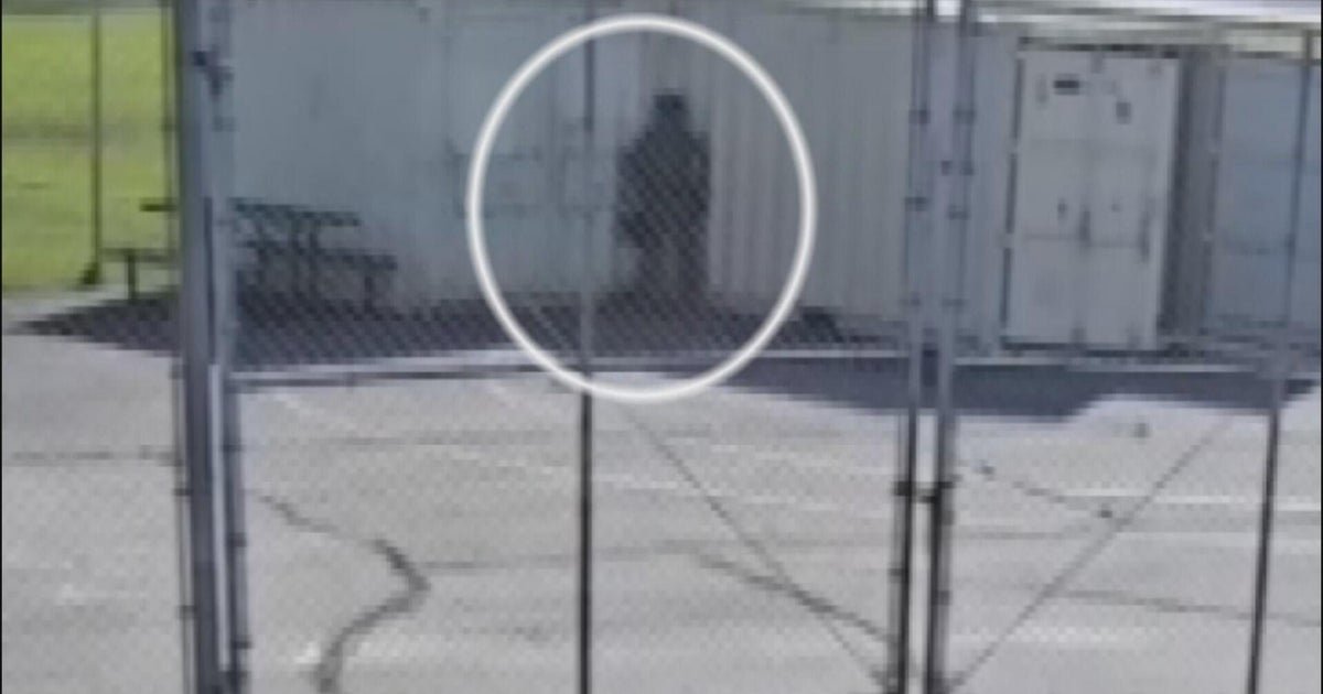 DHS investigating video allegedly showing immigration agents urinating in high school parking lot