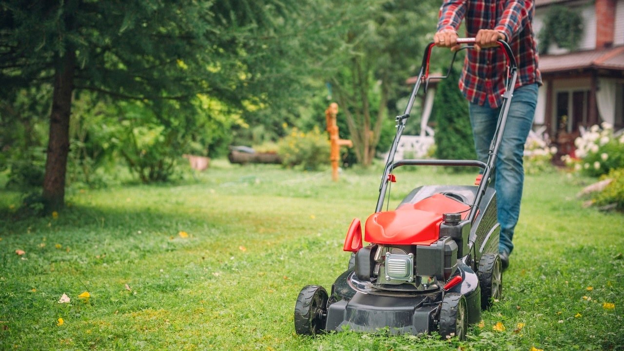 Amazon Prime Day: get up to 50% off lawn equipment