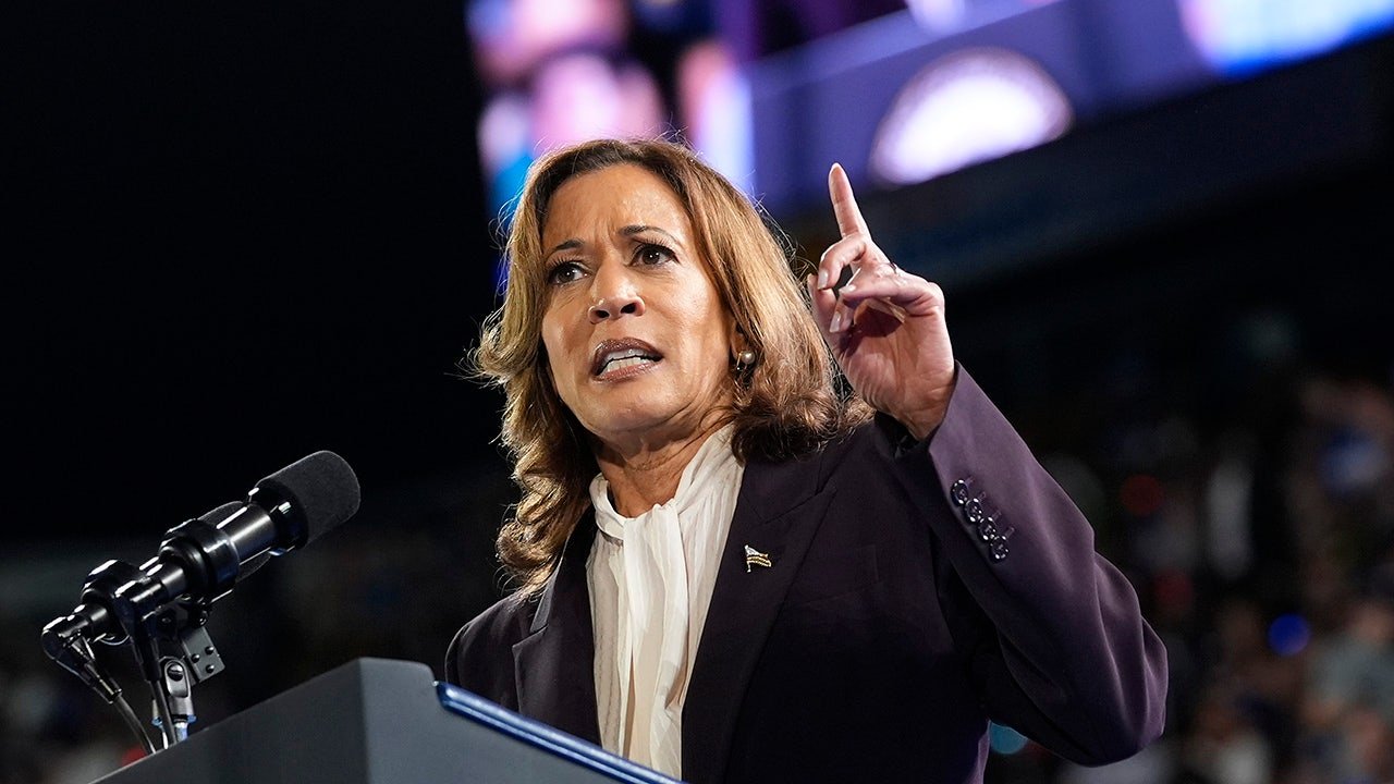 'Subway Takes' host reveals why Harris' 'really bad' interview never aired
