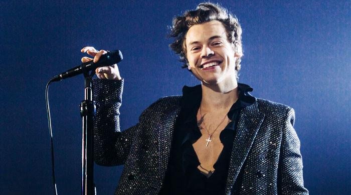 Harry Styles’s new flame makes first appearance after PDA-packed outing