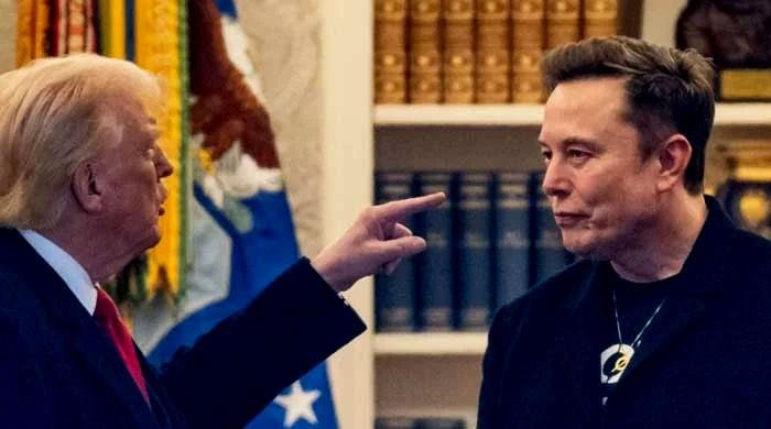 Trump says will 'take a look' at deporting Musk