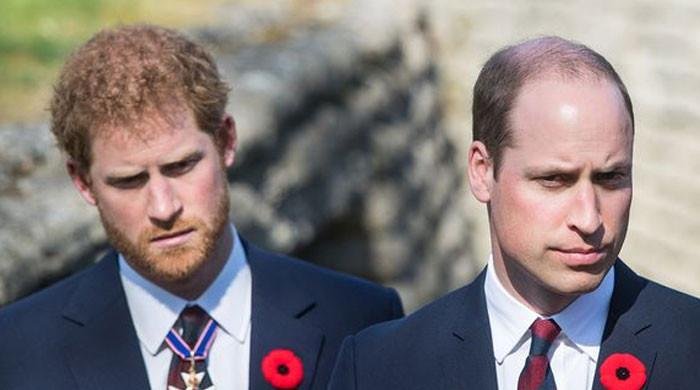 Prince William opts for ‘Danish' way for Prince Harry exit strategy?