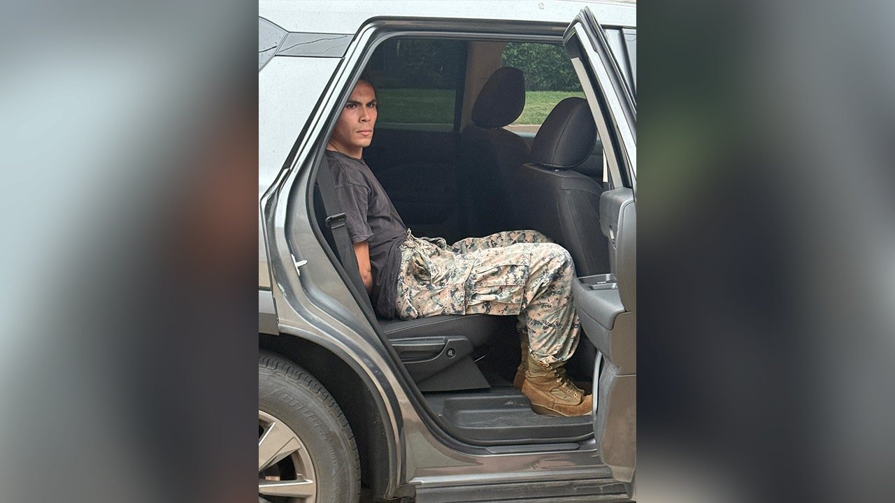 Viral truck driver faces 5 years for aiding anti-ICE demonstrations
