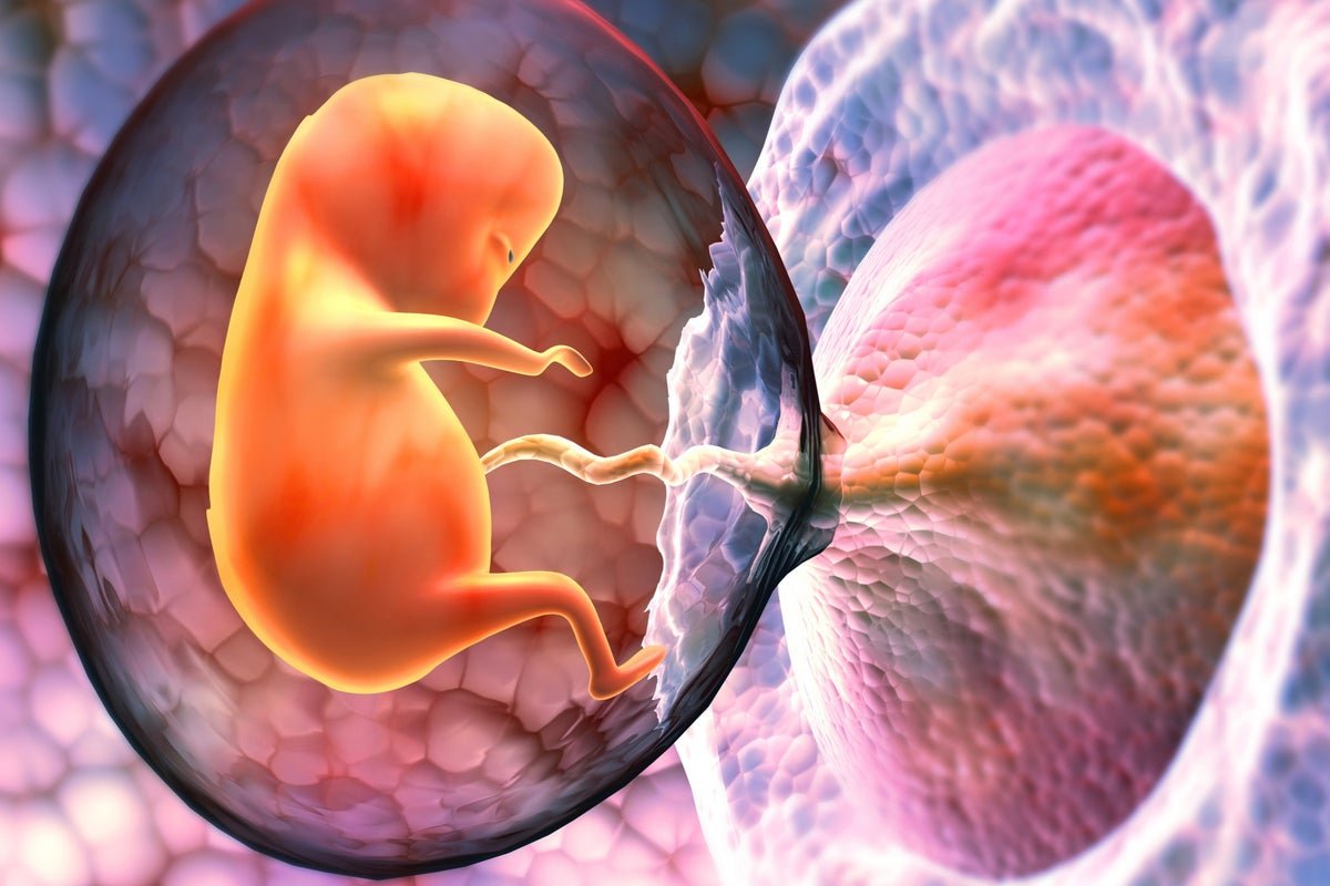 When do foetuses and babies start to feel pain? University College London study reveals fresh insight
