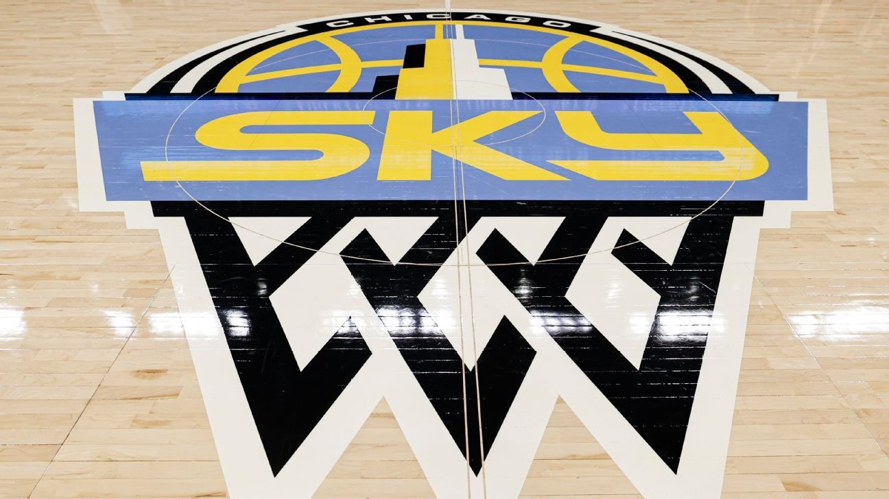 Chicago Sky partners with firm to combat online harassment