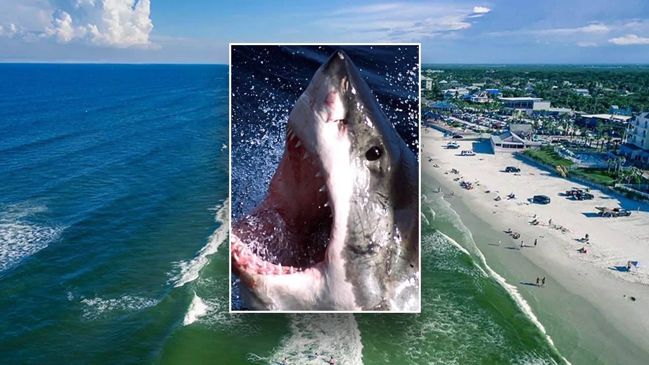Florida man attacked by shark at New Smyrna Beach