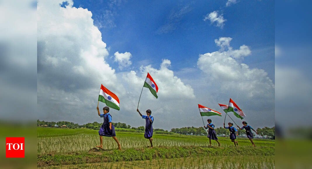 I-Day boost: Discounts drive 8-10% sales growth; executives eye stronger festive season