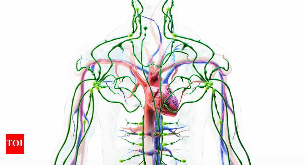 What is the Lymphatic System: 7 signs that it is clogged