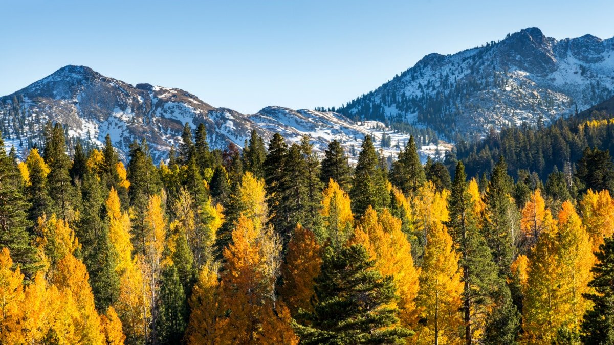 Experiencing Lake Tahoe’s Magical Seasons | Travel News